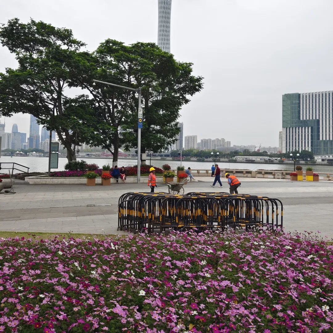 公园的花太矮不会拍？教你2个创