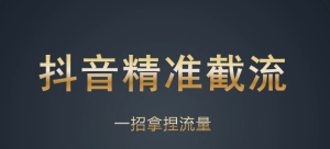 6月最新抖音评论区截流 一天一百创业粉 精准粉 附无限多开脚本-副业吧创业