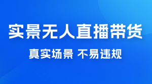日入 500+ 的实景无人直播带货最新玩法 （附整套教程+玩法）-副业吧创业