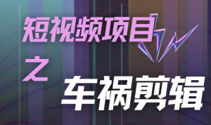视频号车祸赛道，附带详细教程，月入8000+-副业吧创业